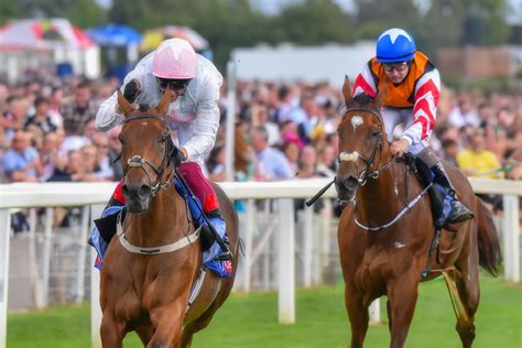 Charities Urged To Enter Sky Bet Horse Race Sweepstake With 20 000