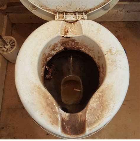 Complaint Dirty Toilet At Arthur Snipes Blog