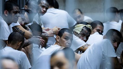Deported Members Of The Venezuelan Prison Gang Tren De Aragua Arrive In