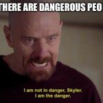 I Am Not In Danger Skyler I Am The Danger Imgflip