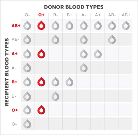 Positive Blood Type O