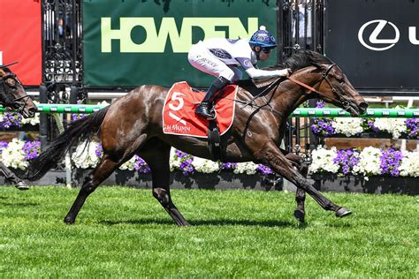 Rising Fast Stakes Results And Replay Caballus 2025 Just Horse Racing