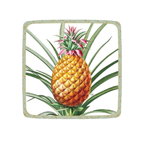 Tropical Fruit Paper Plates Best Of Everything Online Shopping